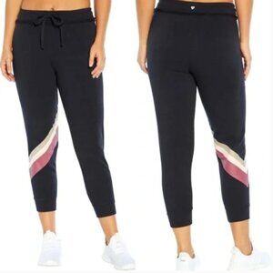 NWT Wildfox Cosmic Relaxed Fit Jogger Pants w/ Striped Logo Detail Sz. M